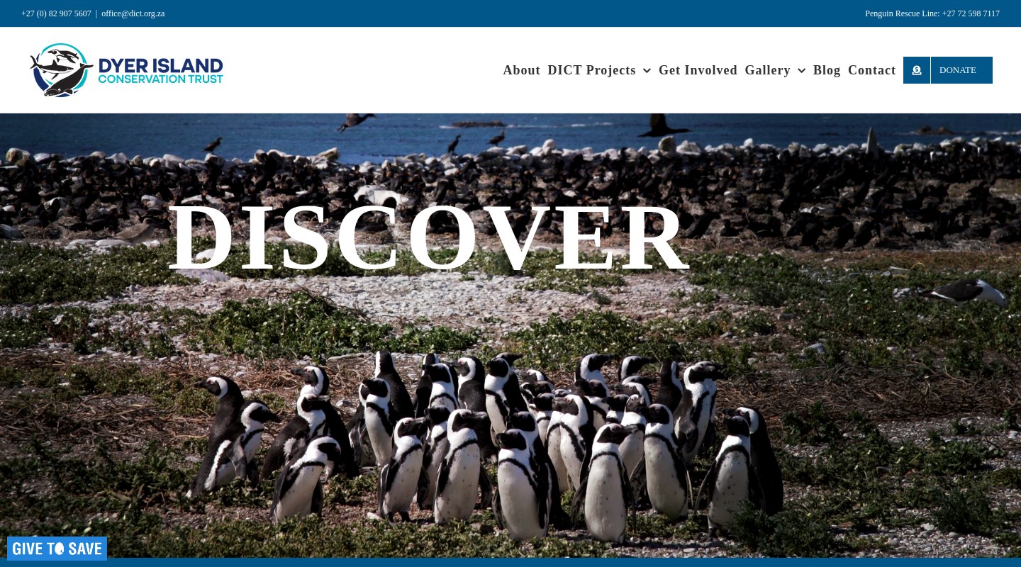 Dyer Island Conservation Trust