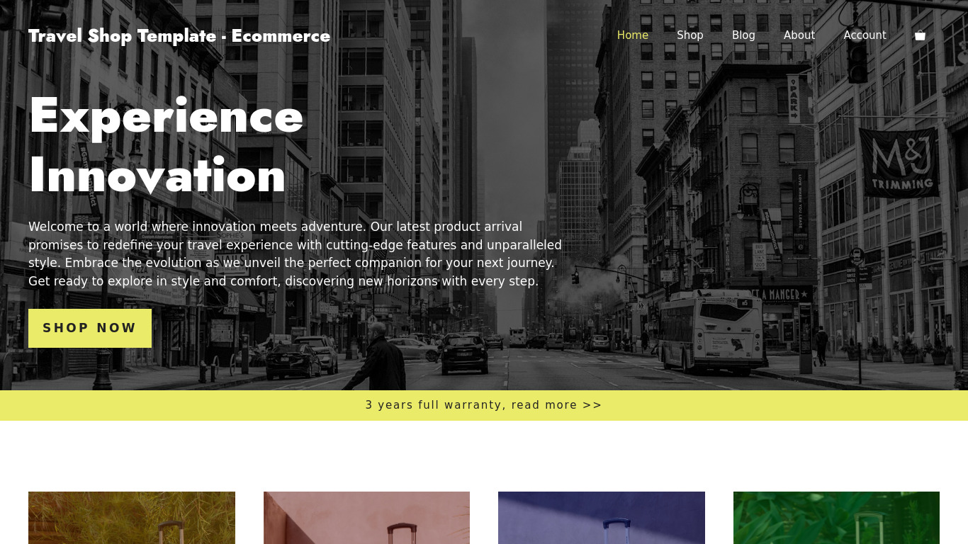 Travel Shop Template - Ecommerce